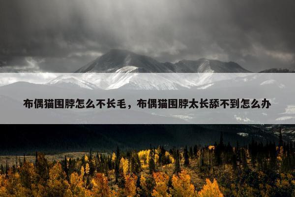 布偶猫围脖怎么不长毛，布偶猫围脖太长舔不到怎么办