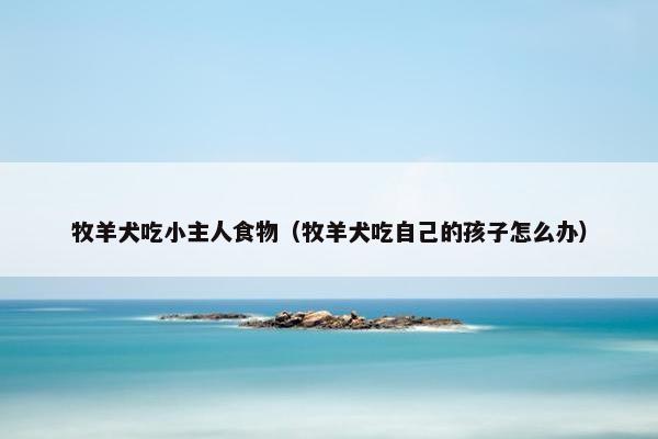 牧羊犬吃小主人食物（牧羊犬吃自己的孩子怎么办）