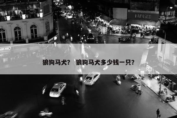 狼狗马犬？ 狼狗马犬多少钱一只？