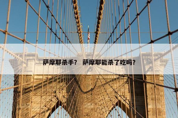 萨摩耶杀手？ 萨摩耶能杀了吃吗？