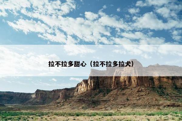 拉不拉多甜心（拉不拉多拉犬）
