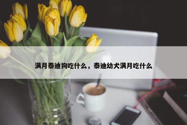 满月泰迪狗吃什么，泰迪幼犬满月吃什么