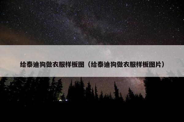 给泰迪狗做衣服样板图（给泰迪狗做衣服样板图片）