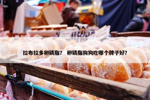 拉布拉多卵磷脂？ 卵磷脂狗狗吃哪个牌子好？