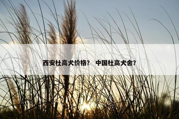 西安杜高犬价格？ 中国杜高犬舍？