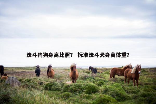 法斗狗狗身高比照？ 标准法斗犬身高体重？