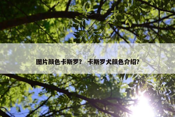 图片颜色卡斯罗？ 卡斯罗犬颜色介绍？