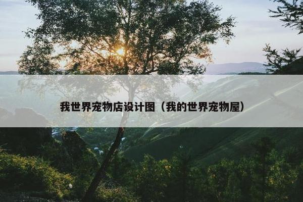 我世界宠物店设计图（我的世界宠物屋）