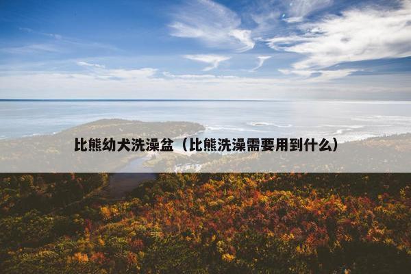 比熊幼犬洗澡盆（比熊洗澡需要用到什么）