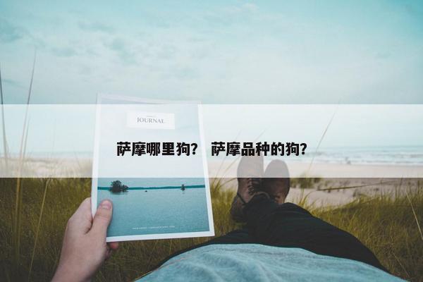 萨摩哪里狗？ 萨摩品种的狗？