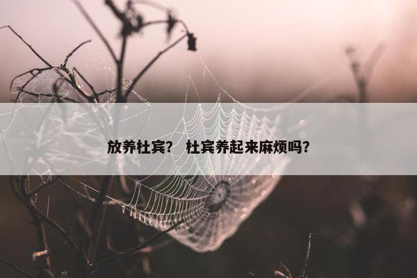 放养杜宾？ 杜宾养起来麻烦吗？