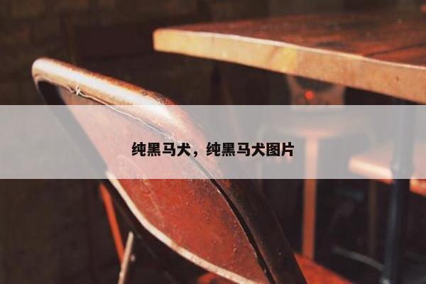 纯黑马犬，纯黑马犬图片