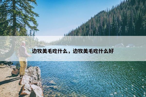 边牧美毛吃什么，边牧美毛吃什么好