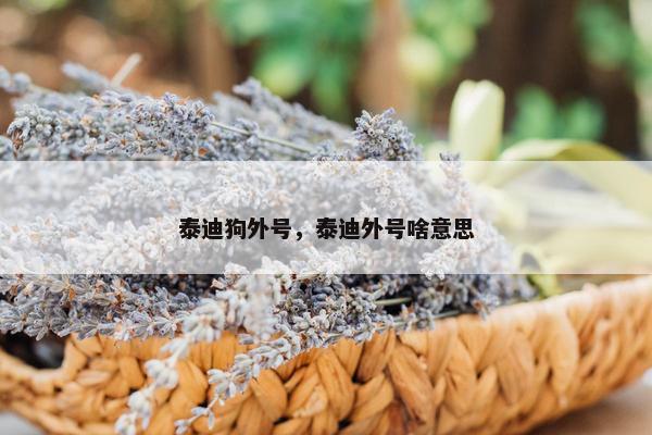泰迪狗外号，泰迪外号啥意思