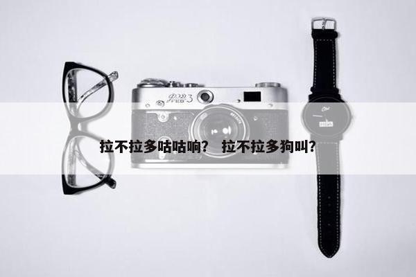 拉不拉多咕咕响？ 拉不拉多狗叫？