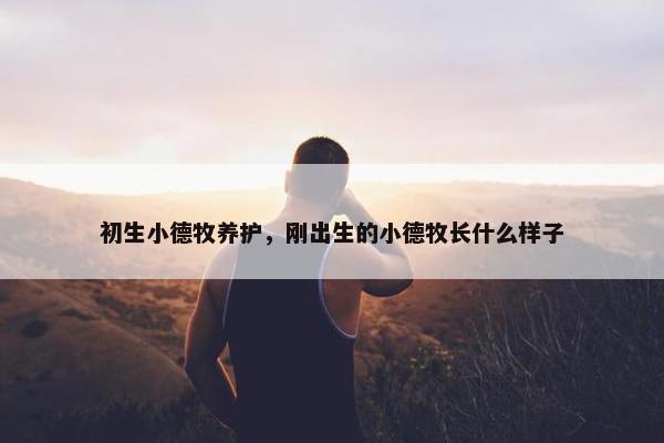 初生小德牧养护，刚出生的小德牧长什么样子