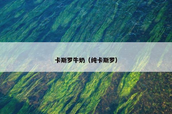 卡斯罗牛奶（纯卡斯罗）