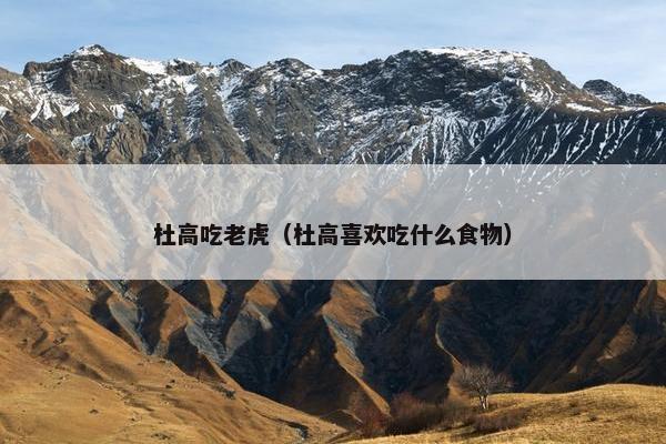 杜高吃老虎（杜高喜欢吃什么食物）