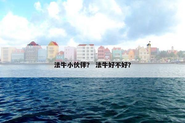 法牛小伙伴？ 法牛好不好？
