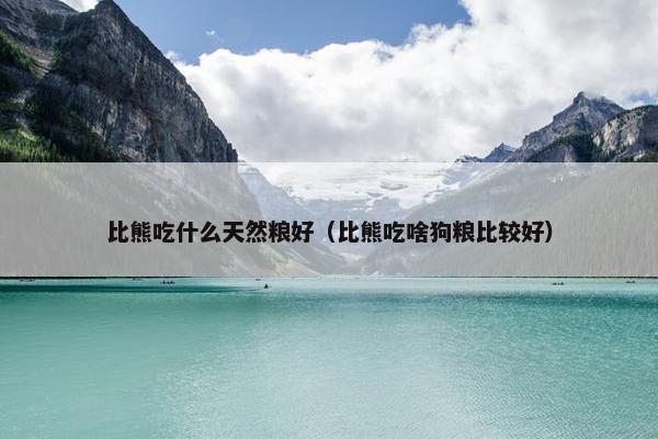 比熊吃什么天然粮好（比熊吃啥狗粮比较好）