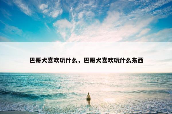 巴哥犬喜欢玩什么，巴哥犬喜欢玩什么东西
