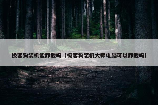 极客狗装机能卸载吗（极客狗装机大师电脑可以卸载吗）