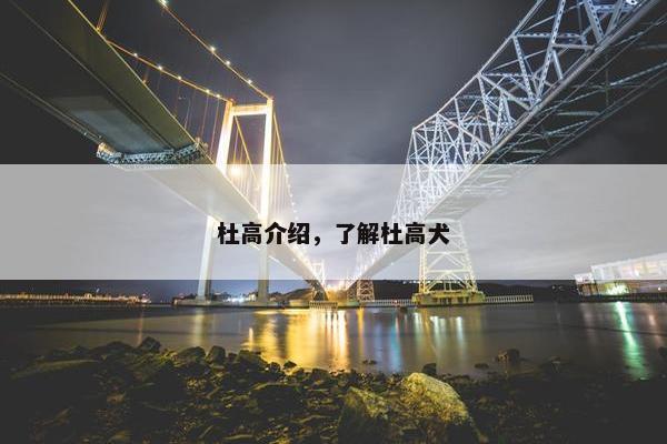 杜高介绍，了解杜高犬