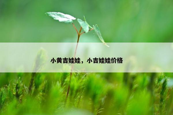 小黄吉娃娃，小吉娃娃价格