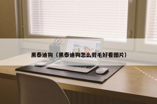 黑泰迪狗（黑泰迪狗怎么剪毛好看图片）