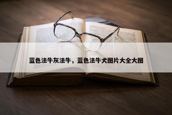 蓝色法牛灰法牛，蓝色法牛犬图片大全大图