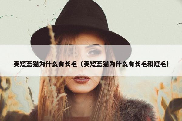 英短蓝猫为什么有长毛（英短蓝猫为什么有长毛和短毛）
