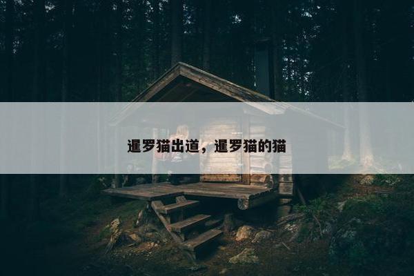 暹罗猫出道，暹罗猫的猫