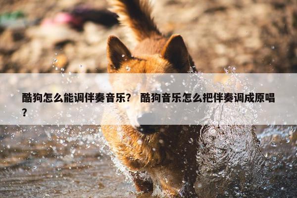酷狗怎么能调伴奏音乐？ 酷狗音乐怎么把伴奏调成原唱？