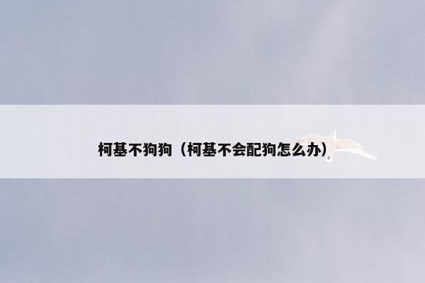 柯基不狗狗（柯基不会配狗怎么办）