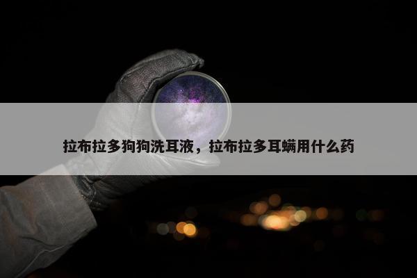 拉布拉多狗狗洗耳液，拉布拉多耳螨用什么药