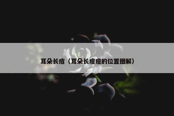 耳朵长痘（耳朵长痘痘的位置图解）