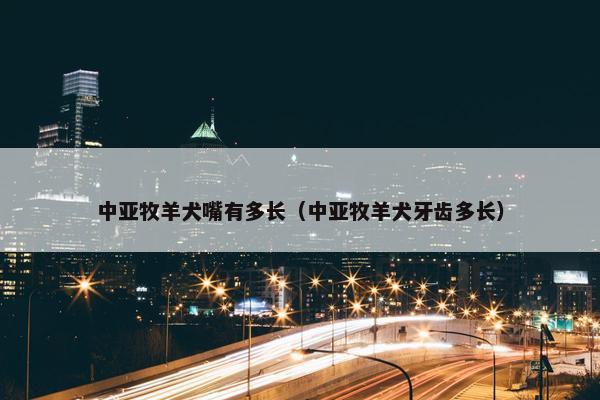 中亚牧羊犬嘴有多长（中亚牧羊犬牙齿多长）
