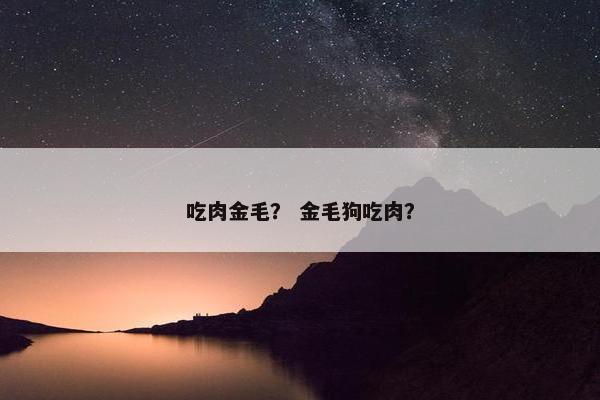 吃肉金毛？ 金毛狗吃肉？