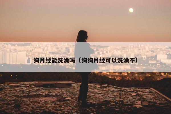 狗月经能洗澡吗（狗狗月经可以洗澡不）