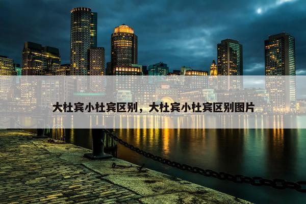 大杜宾小杜宾区别，大杜宾小杜宾区别图片