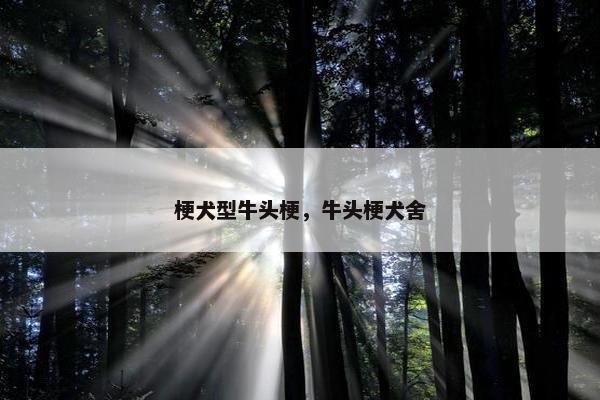 梗犬型牛头梗，牛头梗犬舍