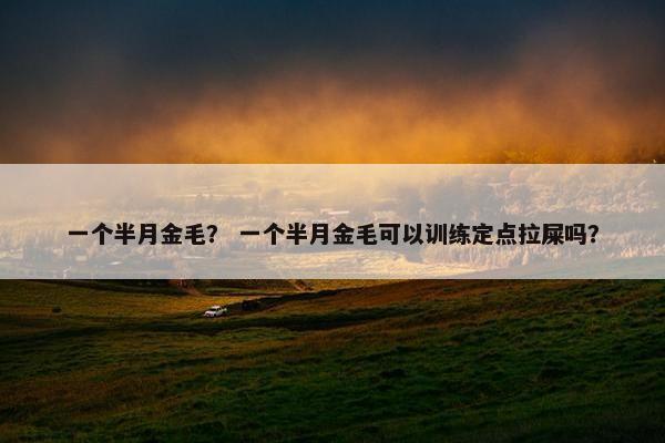一个半月金毛？ 一个半月金毛可以训练定点拉屎吗？