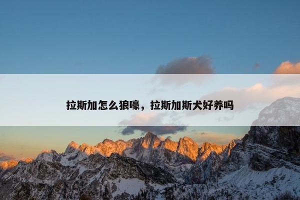 拉斯加怎么狼嚎，拉斯加斯犬好养吗