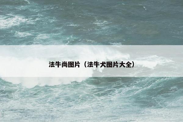 法牛尚图片（法牛犬图片大全）