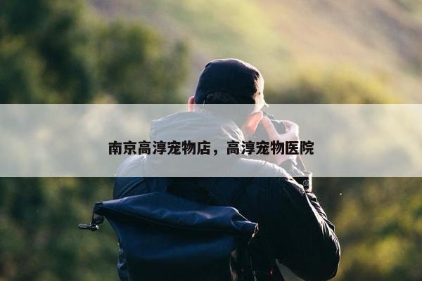 南京高淳宠物店，高淳宠物医院