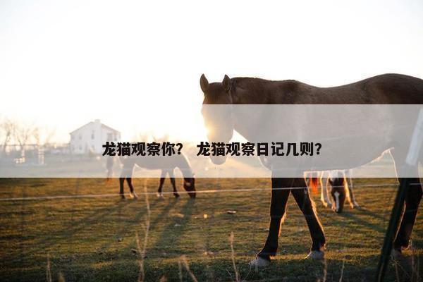 龙猫观察你？ 龙猫观察日记几则？