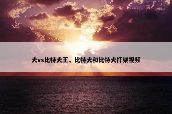 犬vs比特犬王，比特犬和比特犬打架视频
