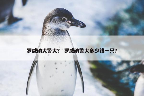 罗威纳犬警犬？ 罗威纳警犬多少钱一只？