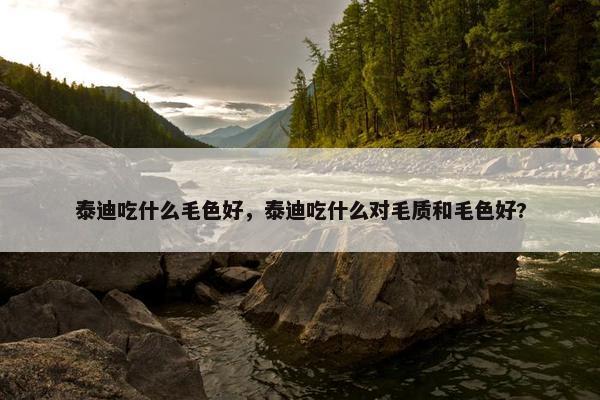 泰迪吃什么毛色好，泰迪吃什么对毛质和毛色好?