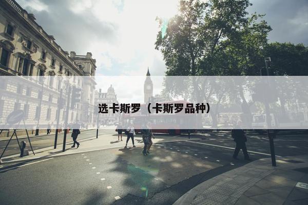 选卡斯罗（卡斯罗品种）
